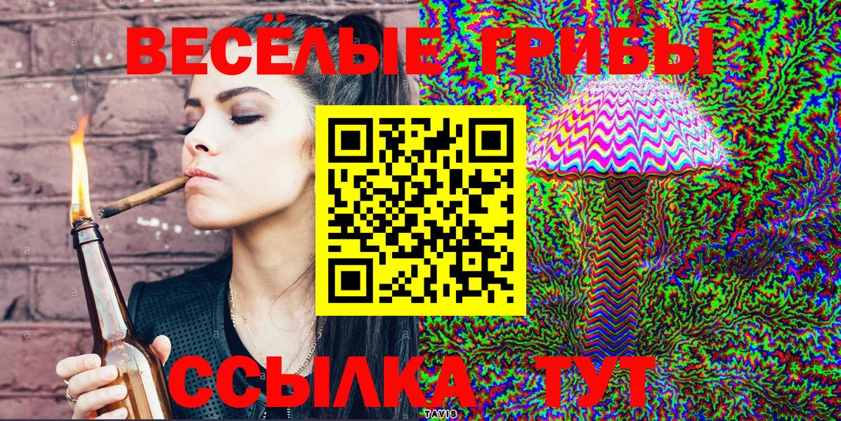 Гусев  Галлюциногенные грибы мицелий  Вход с VPN 